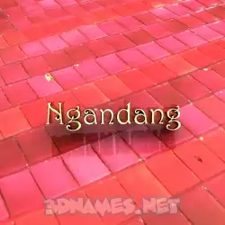ngandang in Red Tiles style - 3D name wallpaper