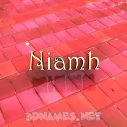 niamh in Red Tiles style - 3D name wallpaper