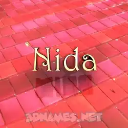 nida in Red Tiles style - 3D name wallpaper