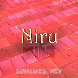 niru in Red Tiles style - 3D name wallpaper