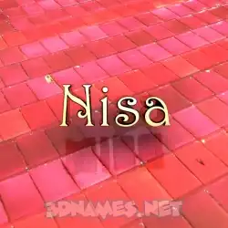 nisa in Red Tiles style - 3D name wallpaper