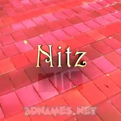 nitz in Red Tiles style - 3D name wallpaper