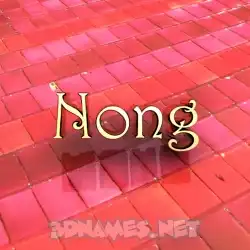 nong in Red Tiles style - 3D name wallpaper