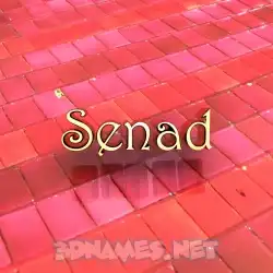 senad in Red Tiles style - 3D name wallpaper