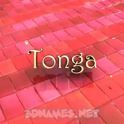 tonga in Red Tiles style - 3D name wallpaper