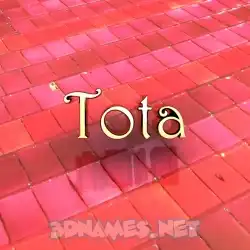 tota in Red Tiles style - 3D name wallpaper