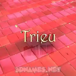 trieu in Red Tiles style - 3D name wallpaper