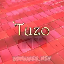 tuzo in Red Tiles style - 3D name wallpaper