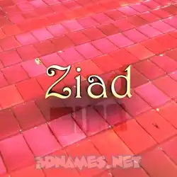 ziad in Red Tiles style - 3D name wallpaper