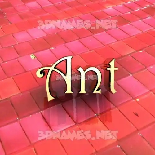 ant in Red Tiles style - 3D name wallpaper