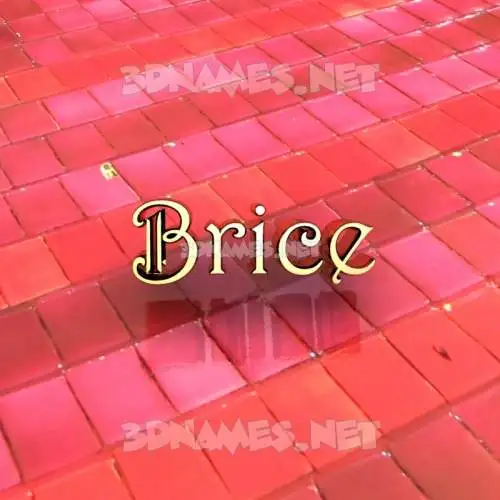 brice in Red Tiles style - 3D name wallpaper brice in Red Tiles style - 3D name wallpaper