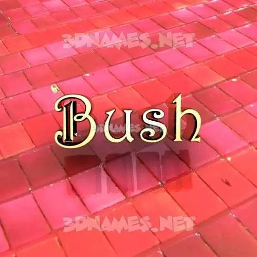 bush in Red Tiles style - 3D name wallpaper bush in Red Tiles style - 3D name wallpaper