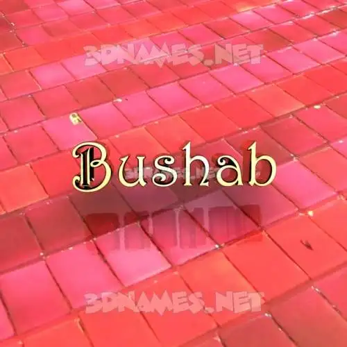 bushab in Red Tiles style - 3D name wallpaper bushab in Red Tiles style - 3D name wallpaper