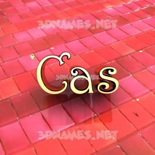 cas in Red Tiles style - 3D name wallpaper cas in Red Tiles style - 3D name wallpaper