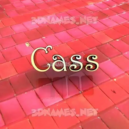cass in Red Tiles style - 3D name wallpaper cass in Red Tiles style - 3D name wallpaper