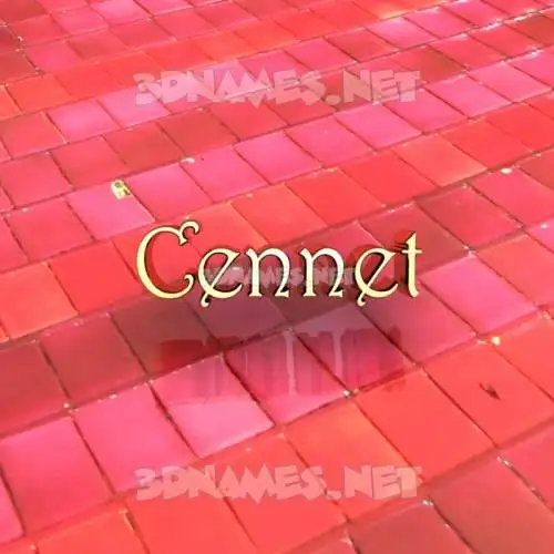cennet in Red Tiles style - 3D name wallpaper cennet in Red Tiles style - 3D name wallpaper