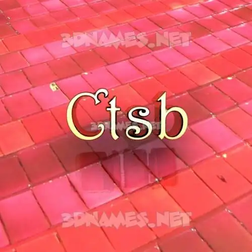 ctsb in Red Tiles style - 3D name wallpaper ctsb in Red Tiles style - 3D name wallpaper