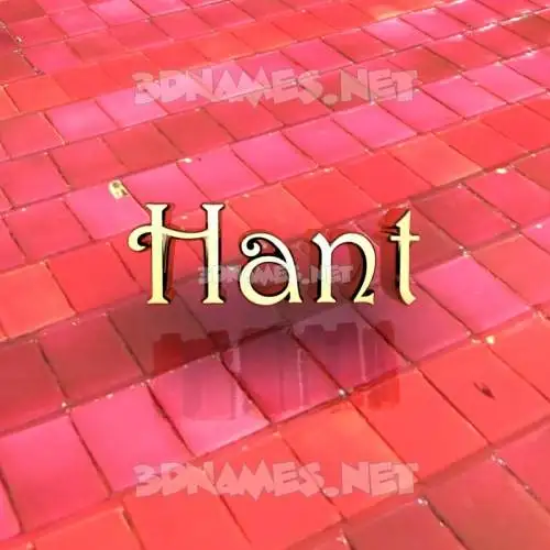 hant in Red Tiles style - 3D name wallpaper hant in Red Tiles style - 3D name wallpaper