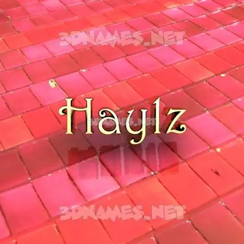 haylz in Red Tiles style - 3D name wallpaper haylz in Red Tiles style - 3D name wallpaper