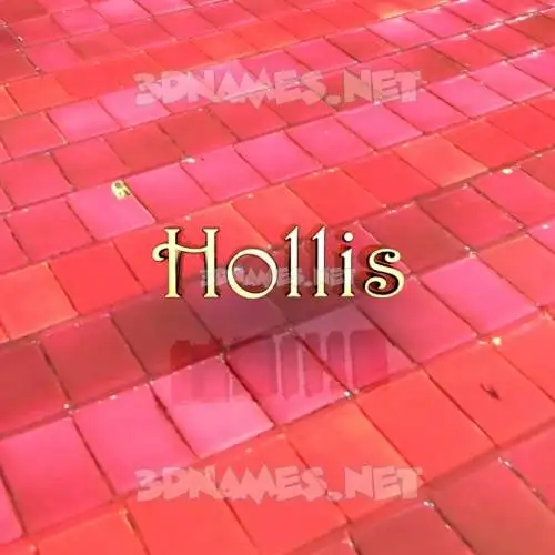 hollis in Red Tiles style - 3D name wallpaper hollis in Red Tiles style - 3D name wallpaper