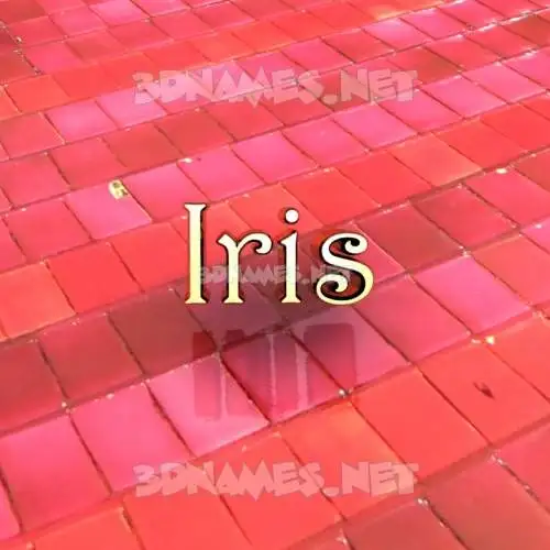 iris in Red Tiles style - 3D name wallpaper iris in Red Tiles style - 3D name wallpaper