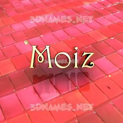 moiz in Red Tiles style - 3D name wallpaper moiz in Red Tiles style - 3D name wallpaper