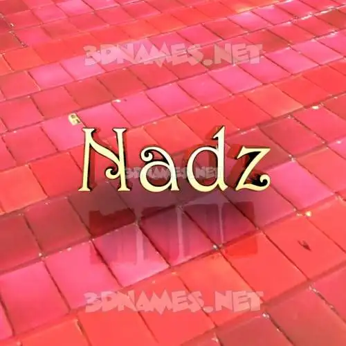 nadz in Red Tiles style - 3D name wallpaper nadz in Red Tiles style - 3D name wallpaper