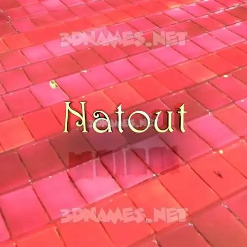 natout in Red Tiles style - 3D name wallpaper natout in Red Tiles style - 3D name wallpaper