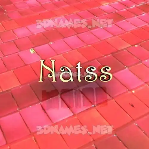 natss in Red Tiles style - 3D name wallpaper