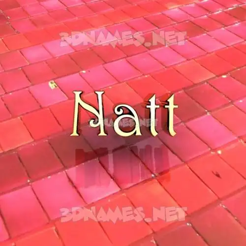 natt in Red Tiles style - 3D name wallpaper natt in Red Tiles style - 3D name wallpaper