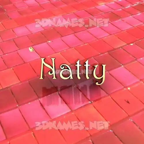 natty in Red Tiles style - 3D name wallpaper