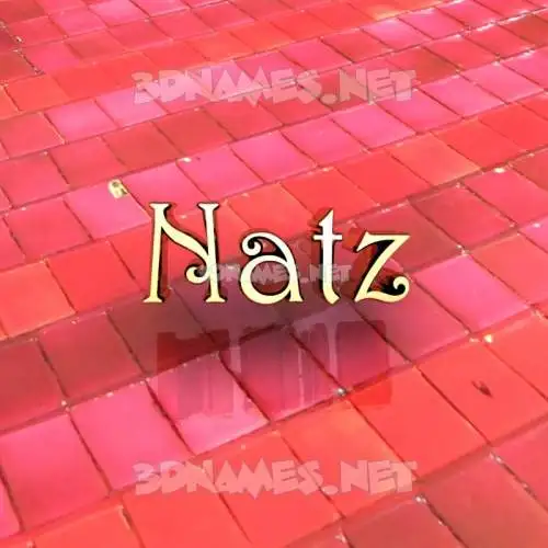 natz in Red Tiles style - 3D name wallpaper natz in Red Tiles style - 3D name wallpaper