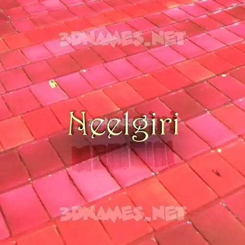 neelgiri in Red Tiles style - 3D name wallpaper neelgiri in Red Tiles style - 3D name wallpaper