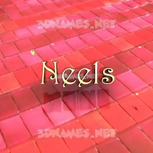 neels in Red Tiles style - 3D name wallpaper neels in Red Tiles style - 3D name wallpaper