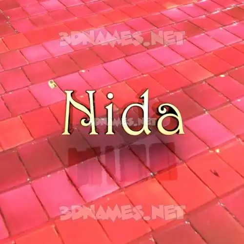 nida in Red Tiles style - 3D name wallpaper nida in Red Tiles style - 3D name wallpaper