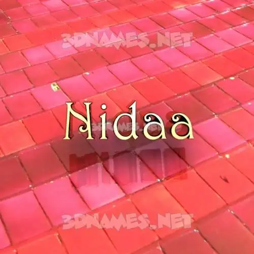 nidaa in Red Tiles style - 3D name wallpaper nidaa in Red Tiles style - 3D name wallpaper