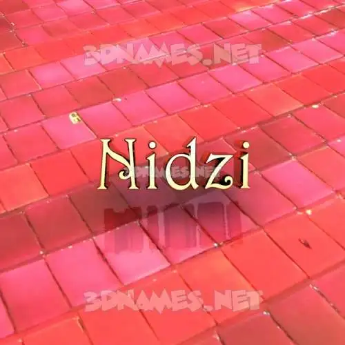 nidzi in Red Tiles style - 3D name wallpaper nidzi in Red Tiles style - 3D name wallpaper