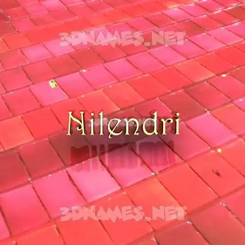 nilendri in Red Tiles style - 3D name wallpaper nilendri in Red Tiles style - 3D name wallpaper