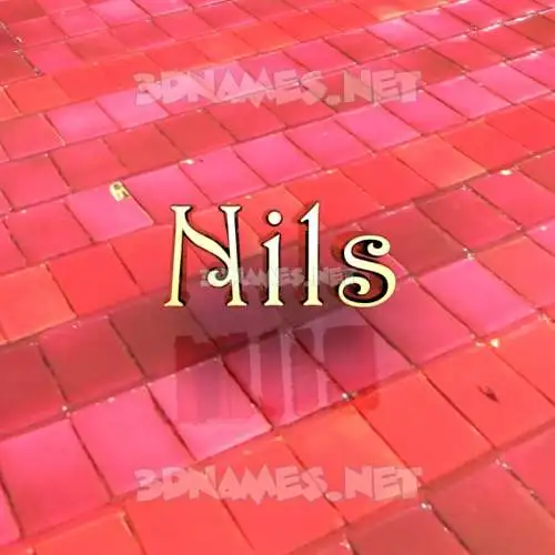 nils in Red Tiles style - 3D name wallpaper nils in Red Tiles style - 3D name wallpaper