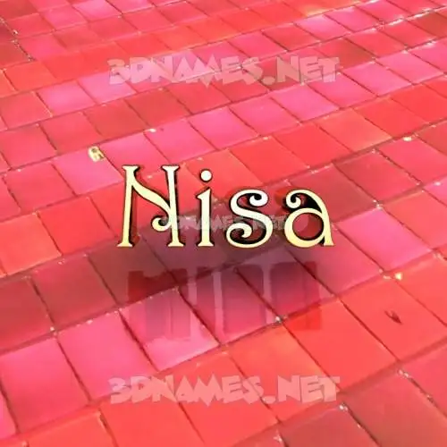 nisa in Red Tiles style - 3D name wallpaper nisa in Red Tiles style - 3D name wallpaper