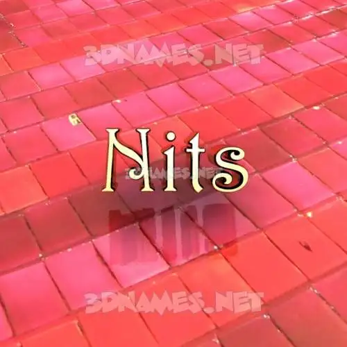 nits in Red Tiles style - 3D name wallpaper