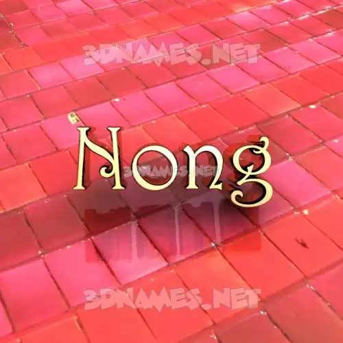 nong in Red Tiles style - 3D name wallpaper