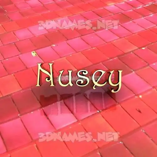 nusey in Red Tiles style - 3D name wallpaper nusey in Red Tiles style - 3D name wallpaper
