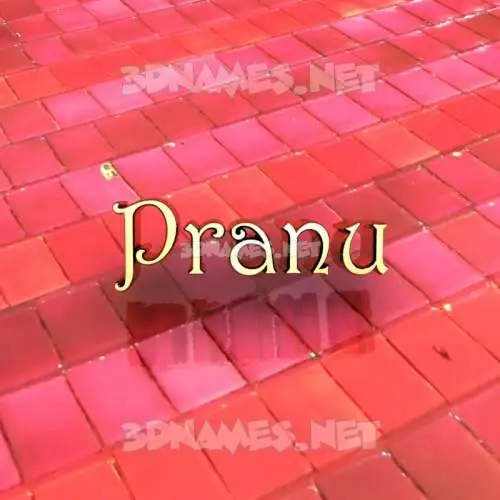 pranu in Red Tiles style - 3D name wallpaper pranu in Red Tiles style - 3D name wallpaper