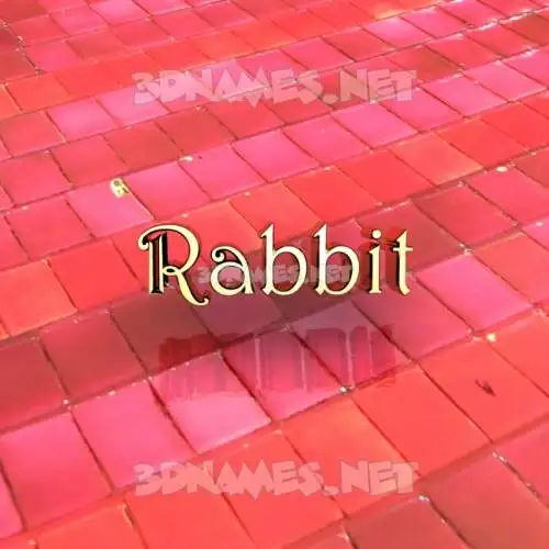 rabbit in Red Tiles style - 3D name wallpaper rabbit in Red Tiles style - 3D name wallpaper