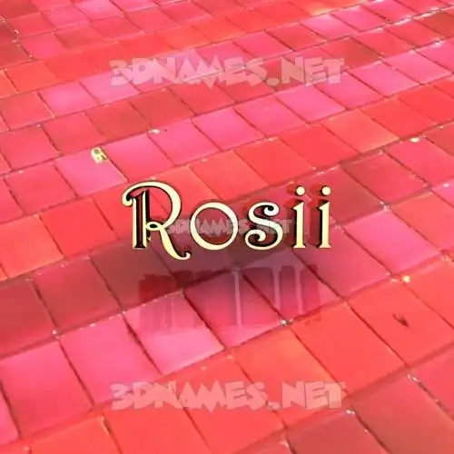 rosii in Red Tiles style - 3D name wallpaper rosii in Red Tiles style - 3D name wallpaper