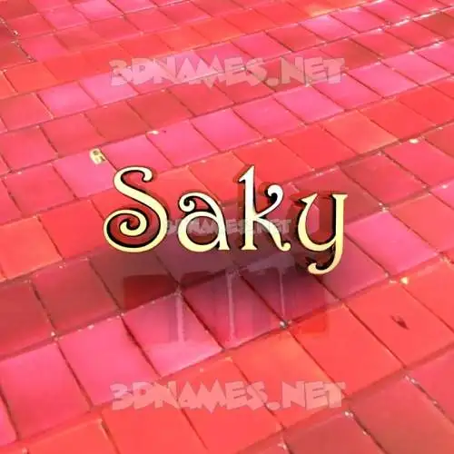 saky in Red Tiles style - 3D name wallpaper saky in Red Tiles style - 3D name wallpaper