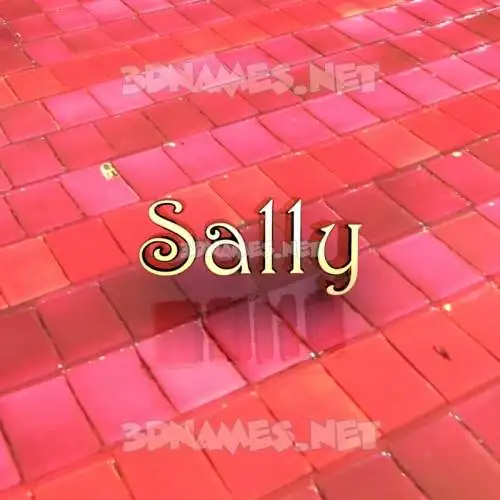 sally in Red Tiles style - 3D name wallpaper sally in Red Tiles style - 3D name wallpaper