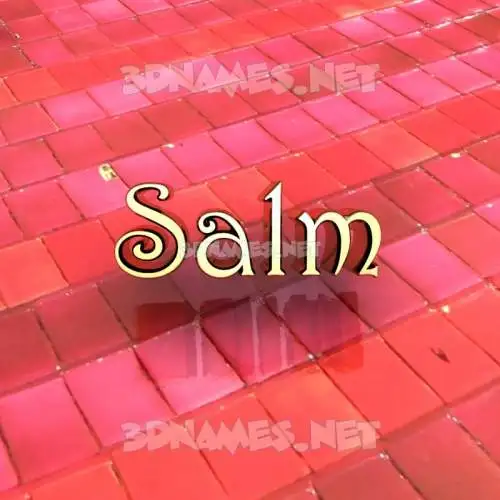 salm in Red Tiles style - 3D name wallpaper salm in Red Tiles style - 3D name wallpaper