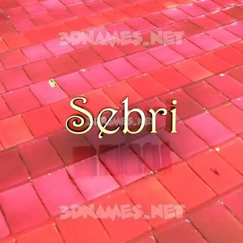 sebri in Red Tiles style - 3D name wallpaper sebri in Red Tiles style - 3D name wallpaper